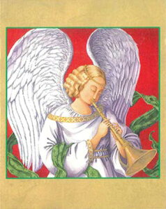 Caspari JXp ANX}XJ[h O[eBOJ[h ܂ `  k AJ  i V[YO[eBO XCXvg Vg GWF