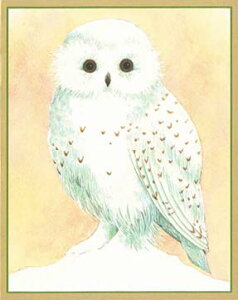 Caspari JXp ANX}XJ[h O[eBOJ[h ܂ `  k AJ  i V[YO[eBO XCXvg  tNE Season's Greeti