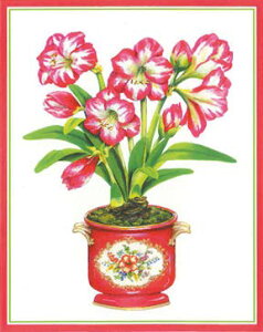 JXp ANX}XJ[h  k Dɂ AJ fG  i V[YO[eBO XCXvg