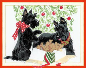 JXp ANX}XJ[h  k Dɂ AJ fG  i V[YO[eBO XCXvg