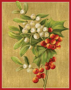 Caspari JXp ANX}XJ[h O[eBOJ[h ܂ `  k AJ  i V[YO[eBO XCXvg hM