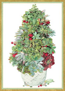 Caspari JXp ANX}XJ[h O[eBOJ[h ܂ `  k AJ  i V[YO[eBO XCXvg c[ A