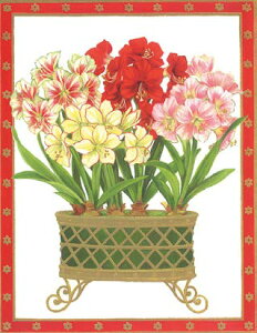 Caspari JXp ANX}XJ[h O[eBOJ[h ܂ `  k AJ  i V[YO[eBO XCXvg A}X oXPbg Amaryllis Ba