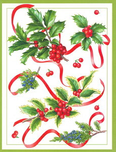 Caspari JXp ANX}XJ[h O[eBOJ[h ܂ `  k AJ  i V[YO[eBO XCXvg x[ NX}Xz[[ V