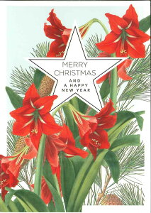 【クリスマスカード】QUIRE(クワイヤー) BOTANIC BLISS グリーティングカード 輸入 海外 オランダ 定形サイズ 封筒付き 二つ折り 高級感 カラー封筒 ボタニカル 植物柄 花柄 アマリリス