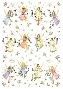 yNX}XJ[hzQUIREiNC[j Mac Classic O[eBOJ[h A CO I_ `TCY t ܂  G{XH  J[ Vg GWF y