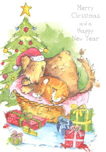 yNX}XJ[hzQUIREiNC[j O[eBOJ[h Aqua Dolce A CO I_ `TCY t ܂ J[  ʃ^b` ʂ  L Ck lR Ƒ