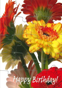 ypYt@J[h@AJ[hz pYJ[h WO\[pY 20s[X t `TCY y ԕ K[x o[Xf[J[h a Happy Birthday nbs[o[Xf[