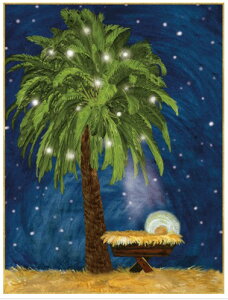 Caspari JXp ANX}XJ[h O[eBOJ[h ܂ `  k AJ  i V[YO[eBO XCXvg a }WFpc[