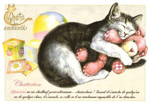 AU Bord des Continents Lbg |XgJ[h tX p   }`bN CXgJ[h ړI L lR Chats ʂ݂ƈꏏ