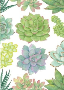 【多目的カード】Caspari カスパリ グリーティングカード 輸入 海外 アメリカ 定形サイズ 封筒付き 二つ折り おしゃれ 高級感 スイスプリント レター 手紙 植物 グリーン 多肉植物A