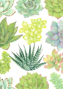 yړIJ[hzCaspari JXp O[eBOJ[h A CO AJ `TCY t ܂   XCXvg ^[ 莆 A O[ AB