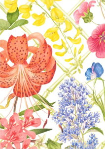 �y���ړI�J�[�h�zCaspari �J�X�p�� �O���[�e�B���O�J�[�h �A�� �C�O �A�����J ��`�T�C�Y �����t�� ��܂� ������� ������ ���^�[ �莆 �� �ԕ� FLORAL TRELLIS B RHS �p���������|����