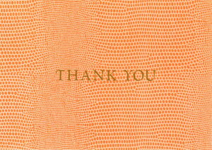 yTL[J[hzCaspari JXp O[eBOJ[h THANK YOU A CO AJ `TCY t 1 XCXvg 莆 肪Ƃ    ͗l gJQv v 
