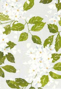 yړIJ[hzCaspari JXp O[eBOJ[h AJ[h CO `  AJ fG  i bZ[WJ[h n ԕ t[ zCg O[ BLANC DE BLANC