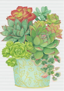 yړIJ[hzCaspari JXp O[eBOJ[h AJ[h CO `  AJ fG  i bZ[WJ[h n O[ A A Potted Succulent