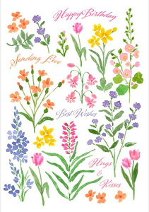 yo[Xf[J[hzCaspari JXp O[eBOJ[h AJ[h CO `  AJ fG  i bZ[WJ[h a߂łƂ j nbs[o[Xf[ 