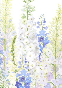 yړIJ[hzCaspari JXp O[eBOJ[h AJ[h CO `  AJ fG  i bZ[WJ[h n ԕ t[ ftBjE Delphiniums