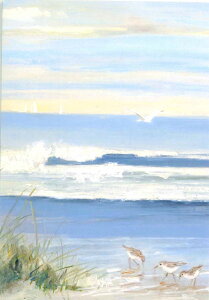 yړIJ[hzCaspari JXp A O[eBOJ[h ܂J[h `TCY i AJ C C i  C  c