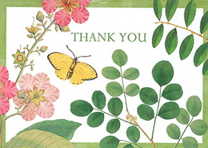 【サンキューカード】Caspari カスパリ グリーティングカード THANK YOU 輸入 海外 アメリカ 定形サイズ 封筒付き 1枚 手紙 ありがとう 感謝 お礼状 植物 花 フラワー 蝶々 Coromandel Garden チャッツ