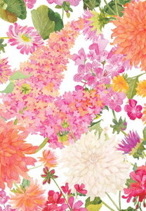 yo[Xf[J[hzCaspari JXp O[eBOJ[h AJ[h CO `  AJ fG  i bZ[WJ[h a߂łƂ j nbs[o[Xf[ 