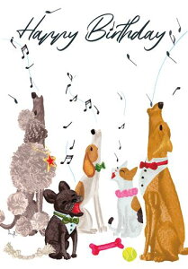 yo[Xf[J[hzCaspari JXp O[eBOJ[h A CO AJ `TCY t ܂   bZ[WJ[h a߂łƂ nbs[o[Xf[ C