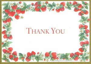 yTL[J[hzCaspari JXp O[eBOJ[h THANK YOU A CO AJ `TCY t 1 XCXvg 莆 肪Ƃ     Xgx[ K[