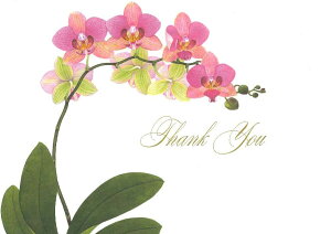 yTL[J[h10ZbgzCaspari JXp O[eBOJ[h THANK YOU A CO AJ ܂Ƃߔ `TCY t 莆 肪Ƃ   ԕ Ӓ sN I[L