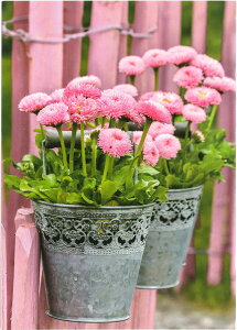 y|XgJ[h@O[fBOJ[h@ԕ@AJ[h@]ʁzhCc GollongiSj^TCY@fCW[@t[AW