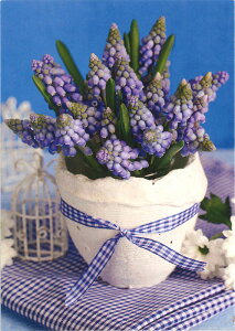 y|XgJ[h@O[fBOJ[h@ԕ@AJ[h@]ʁzhCc GollongiSj^TCY@XJ@t[AW