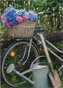 y|XgJ[h@O[eBOJ[h@ԕ@AJ[h@]ʁzhCc GollongiSj^TCY@@t[AW@]