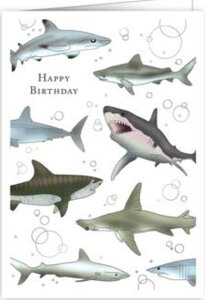 yo[Xf[J[hzQUIREiNC[j Mac Classic O[eBOJ[h A I_ `TCY t ܂  G{XH  a Happy Birthday T L V[N C