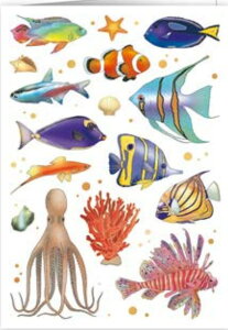 yړIzQUIREiNC[j Mac Classic O[eBOJ[h A I_ `TCY t ܂  G{XH  Mы ^R C }