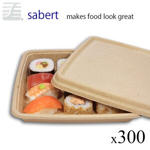 oKX t[hpbN22.8x16.5x2.8cm 300@v Ɩp Sabert WOK Cxg `{bNXĝ JtF TXeBiu Đ e gC   y[p[EGA Jt