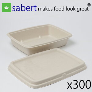 oKX t[hpbN23.3x16.5x5.8cm 300pbN@v Ɩp Sabert WOK `{bNXĝ JtF TXeBiu Đ e gC  JtF z Hie 