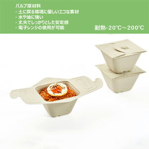 ピクニックにもピッタリ おしゃれかわいいファミリーサイズのお弁当箱のおすすめランキング わたしと 暮らし