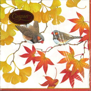 Caspari JXp y[p[ivL `TCY 33x33cm 20 fRp[W  e[uR[fBl[g ivL hCc   p[eB[ i bsO qɌ@o 