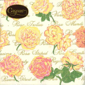 Caspari JXp y[p[ivL JNeTCY 25x25cm 20 fRp[W  e[uR[fBl[g ivL hCc   p[eB[ i bsO qɌ@o