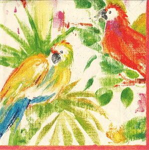 Caspari JXp y[p[ivL `TCY 33x33cm 20 fRp[W  e[uR[fBl[g ivL hCc   p[eB[ i bsO IE  Papage