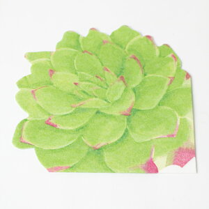 Caspari JXp _CJbg y[p[livL sDz 32×32cm 15 y[p[ivL  k hCc   p[eB[ i bsO A Succulents