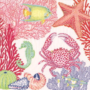 Caspari JXp y[p[ivL `TCY 33x33cm 20 fRp[W  e[uR[fBl[g ivL hCc   p[eB[ i bsO  C X Under