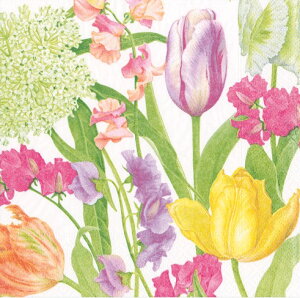 Caspari JXp y[p[ivL JNeTCY 25x25cm 20 fRp[W  e[uR[fBl[g ivL hCc   p[eB[ i bsO ԕ `[