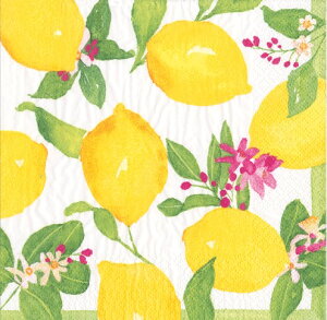 Caspari JXp y[p[ivL JNeTCY 25x25cm 20 fRp[W  e[uR[fBl[g ivL hCc   p[eB[ i bsO  Limonce