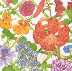 Caspari JXp y[p[ivL JNeTCY 25x25cm 20 fRp[W  e[uR[fBl[g ivL hCc   p[eB[ i bsO Floral Trellis RH