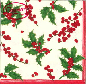 Caspari JXp y[p[ivL JNeTCY 25x25cm 10 fRp[W  e[uR[fBl[g ivL hCc   p[eB[ i bsO NX}X 