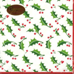 Caspari JXp y[p[ivL JNeTCY 25x25cm 20 fRp[W  e[uR[fBl[g ivL hCc   p[eB[ i bsO qɌ@o