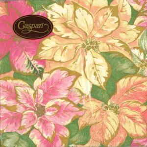 Caspari JXp y[p[ivL JNeTCY 25x25cm 20 fRp[W  e[uR[fBl[g ivL hCc   p[eB[ i bsO qɌ@o