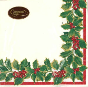 Caspari JXp y[p[ivL JNeTCY 25x25cm 20 fRp[W  e[uR[fBl[g ivL hCc   p[eB[ i bsO qɌ@o