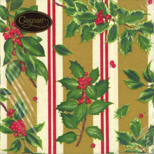 Caspari JXp y[p[ivL JNeTCY 25x25cm 20 fRp[W  e[uR[fBl[g ivL hCc   p[eB[ i bsO qɌ@o