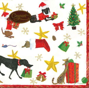 Caspari JXp y[p[ivL JNeTCY 25x25cm 20 fRp[W  e[uR[fBl[g ivL hCc   p[eB[ i bsO qɌ@o